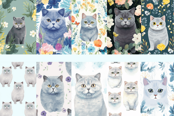 British Shorthair Patterns: A Creative Resource for Design Enthusiasts