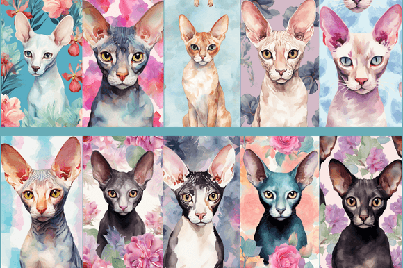 Cornish Rex Patterns