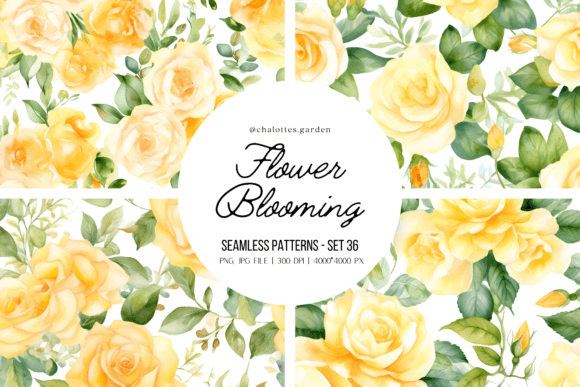 Roses Blooming Patterns Vol.06
